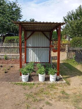 Foto - Grundst&uuml;ck in Zittau zur Miete