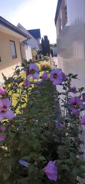 Foto - Einfamilienhaus in Minden