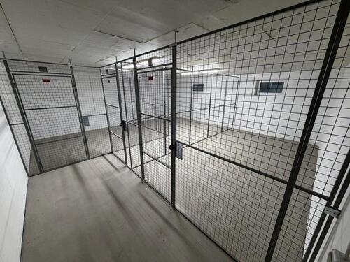 Foto - andere in Rüsselsheim am Main