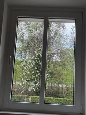 Foto - 2 Zimmer Hochparterre zum Kaufen in Markkleeberg