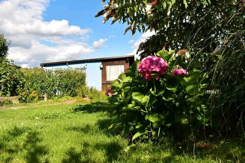 Foto - Kleingarten am Ringgleis ab sofort verfügbar