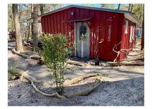 Foto - Bungalow, Ferienhaus auf Rügen in Göhren - strandnah