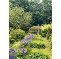 Schrebergarten Kleingarten Kiel Kronshagen Bodenplatte & Kamin