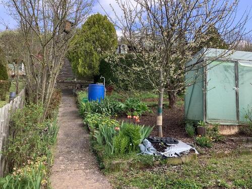 Foto - Pachtgarten Kleingarten am Kirschberg Gera–Langenberg