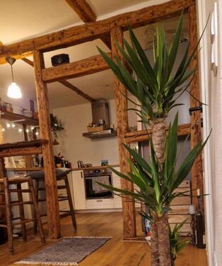 Foto - andere zur Miete in Hagen