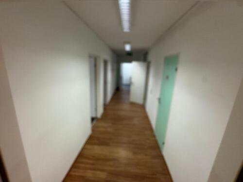 Foto - 6 Zimmer Etagenwohnung zur Miete in Ludwigshafen am Rhein