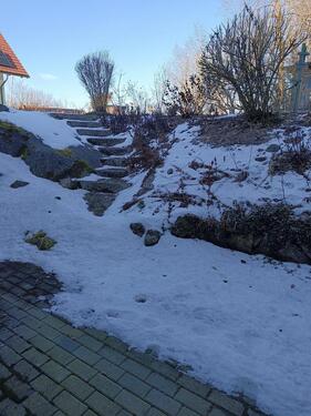 Foto - 2 Zimmer Etagenwohnung zur Miete in Wald