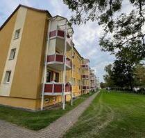 Gemütliche 1-Raum-Wohnung in ruhiger Lage in Dingelstädt