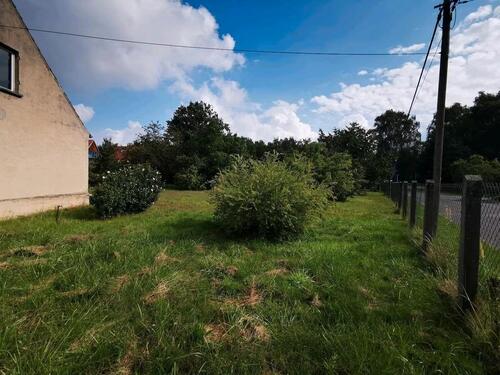 Foto - Einfamilienhaus in Elbe-Parey zum Kaufen