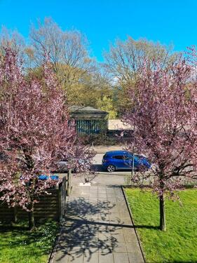 Foto - 1 Zimmer Etagenwohnung zur Miete in Düsseldorf