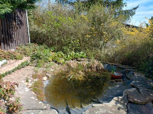 Foto - Einfamilienhaus in Leinach zum Kaufen