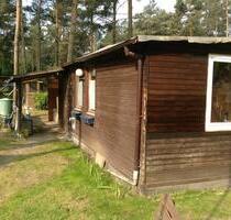 Laube auf Campingplatz (Dauercamping möglich) - Gifhorn