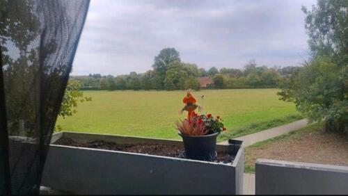 Foto - Charmante 2-Zimmer-Wohnung mit Balkon in gepflegtem Mehrfamilienhaus