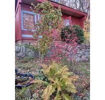 Kleingarten m.Bungalow am Waldrand in Zschopau