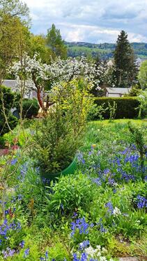 Foto - Grundst&uuml;ck in Zschopau