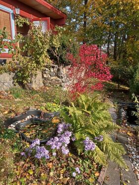Foto - Grundst&uuml;ck in Zschopau zur Miete