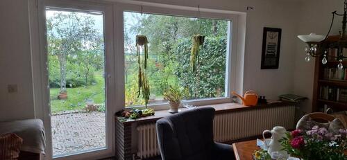 Foto - Einfamilienhaus in Garding zum Kaufen