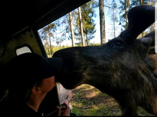 Foto - Ferienhaus in Småland – Platz für 6 + 2 Personen