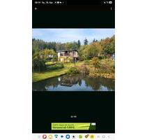 Pachtgarten Teiche Garten mit Hütte Gartenhütte Wochenendhaus - Suhl Schmiedefeld am Rennsteig