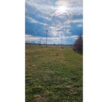 Stellplatz für Wohnmobile oder Wohnwagen - Lüchow (Wendland)