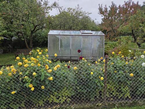 Foto - Grundst&uuml;ck in Kamenz