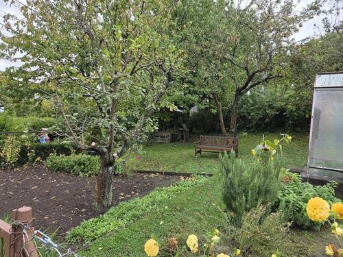 Foto - Grundst&uuml;ck in Kamenz zur Miete