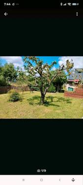 Foto - Kleingarten Pachtgarten Garten - 2.500,00&nbsp;EUR Kaltmiete, ca.&nbsp; 0,00&nbsp;m&sup2;