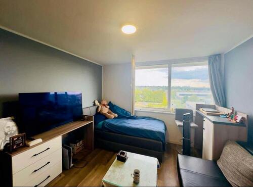 Foto - Möbliertes Apartment in Mainz - 625,00&nbsp;EUR Kaltmiete, ca.&nbsp; 24,00&nbsp;m&sup2;