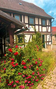 Foto - 4 Zimmer Bauernhaus, Landhaus zum Kaufen in Groß Quenstedt