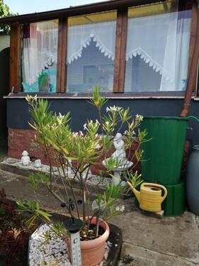 Foto - Grundstück in Blankenburg (Harz) zur Miete