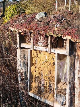 Foto - Grundst&uuml;ck in Celle zur Miete