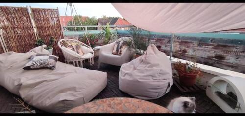 Foto - 1,5 Zimmer mit großer Dachterrasse