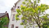 Foto - Ffm Schwanheim MFH 3 WE + Gewerbe (Kindergarten) ohne Makler
