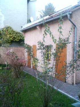 Foto - Mehrfamilienhaus, Wohnhaus in Frankfurt am Main zum Kaufen