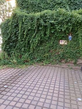 Foto - PKW-Außenstellplatz in der Röhrstraße zu vermieten!