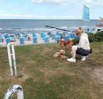 Ferienwohnung Urlaub mit Hund - Urlaub mit Hund an der Ostsee - Neukloster