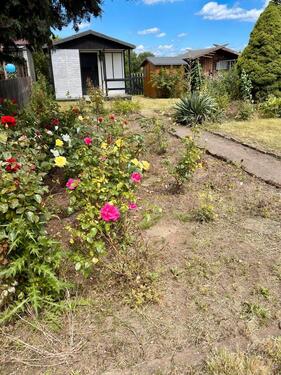 Foto - Schönen Garten günstig zu verpachten