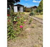 Schönen Garten günstig zu verpachten - Glauchau