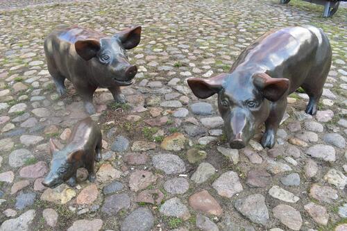 Foto - andere zur Miete in Schwerin