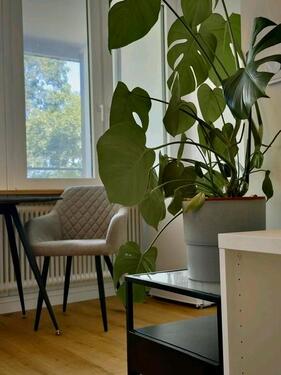 Foto - Etagenwohnung in München zur Miete