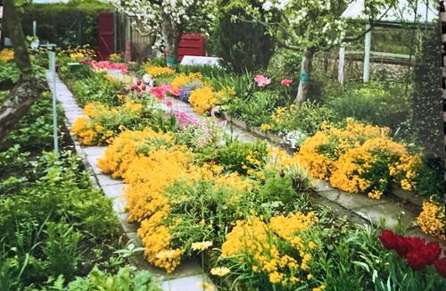 Foto - Kleingarten in Riesa in gute Hände abzugeben