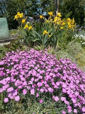 Foto - Grundstück in Naunhof zur Miete