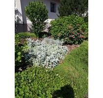 Möblierte Wohnung Reichenbach - 800,00&nbsp;EUR Kaltmiete, ca.&nbsp; 70,00&nbsp;m&sup2; in Lahr (Schwarzwald) (PLZ: 77933)