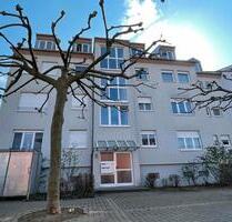 3 Zimmer DG-Wohnung mit Einbauküche, Dachterrasse - Groß-Umstadt