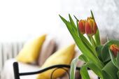 Foto - IHR GEMÜTLICHES ZUHAUSE ! Schnuckelige 2-Zi-Whg, WF 51 m², Chiemsee & Alpen
