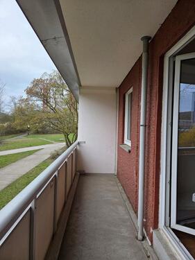 Foto - Erdgeschoßwohnung in Halle (Saale) zur Miete