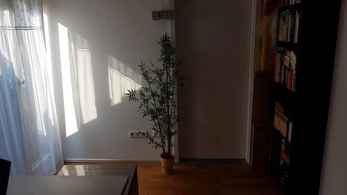 Foto - 