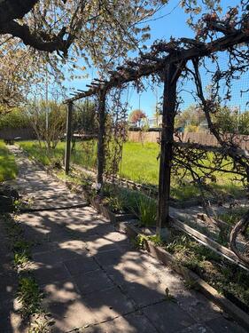 Foto - Traum Schrebergarten in Hildesheim BockfeldGodehardikamp