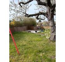 Traum Schrebergarten in Hildesheim BockfeldGodehardikamp