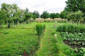 Foto - Bauernhaus, Landhaus in Nebra (Unstrut) zum Kaufen